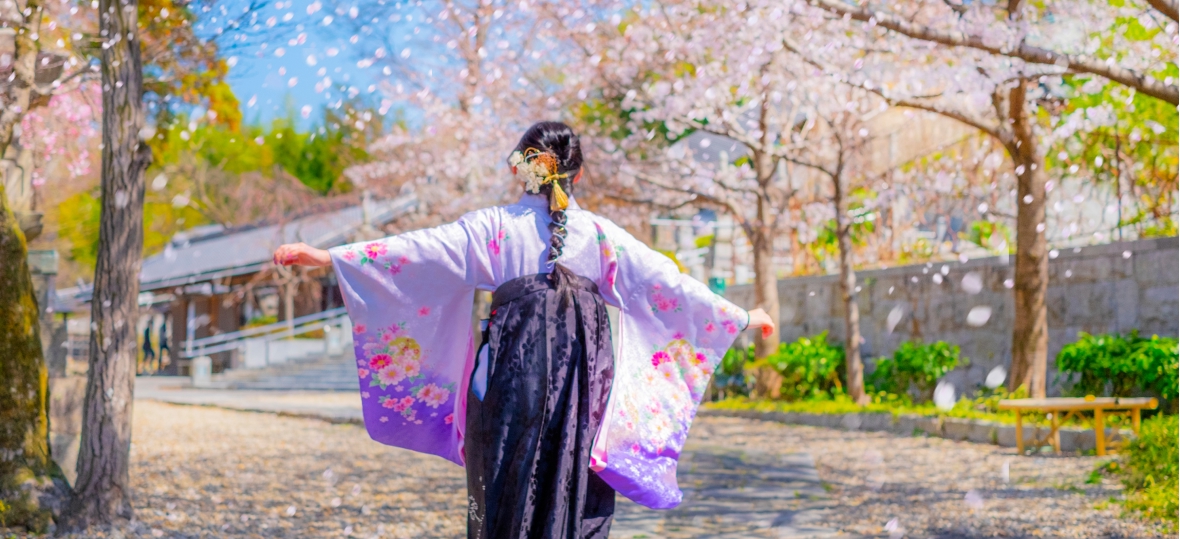 袴を着て桜並木を見ている女の子